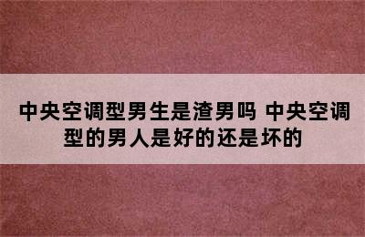 中央空调型男生是渣男吗 中央空调型的男人是好的还是坏的